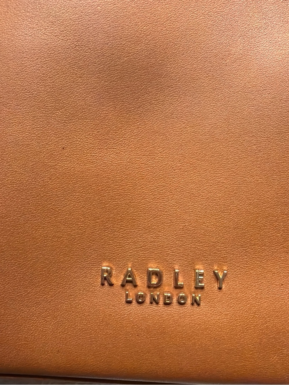 RADLEY LONDON Tan Leather Men's Bag with Gold Logo